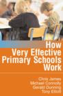 How Very Effective Primary Schools Work - eBook