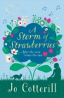 A Storm of Strawberries - Book