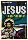 Introducing Jesus : A Graphic Guide - Book