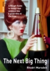 The Next Big Thing : A Rough Guide to things that seemed like a good idea at the time - eBook