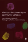 Identity, Ethnic Diversity and Community Cohesion - eBook