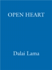 An Open Heart : Practising Compassion in Everyday Life - eBook