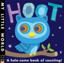 Hoot : A hole-some book of counting - Book