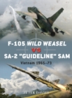 F-105 Wild Weasel vs SA-2 ‘Guideline’ SAM : Vietnam 1965–73 - eBook