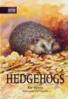 Hedgehogs - Book