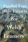 Parallel text Bible Extracts for Welsh learners - eBook