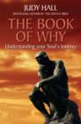 Book of Why - eBook