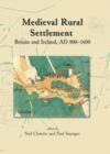 Medieval Rural Settlement : Britain and Ireland, AD 800-1600 - eBook