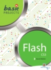 Basic Projects in Flash - Book