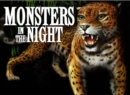Monsters in the Night - eBook