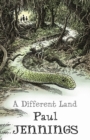 A Different Land - eBook