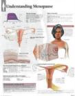 Understanding Menopause Laminated Poster - Book