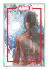 The Marvel Portfolio of David Mack : Daredevil - Book