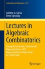 Lectures in Algebraic Combinatorics : Young's Construction, Seminormal Representations,  SL(2) Representations, Heaps,  Basics on Finite Fields - eBook