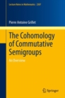 The Cohomology of Commutative Semigroups : An Overview - eBook