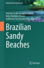 Brazilian Sandy Beaches - eBook
