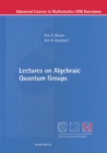 Lectures on Algebraic Quantum Groups - eBook