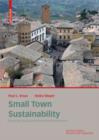 Small Town Sustainability : Economic, Social, and Environmental Innovation - eBook