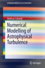 Numerical Modelling of Astrophysical Turbulence - eBook