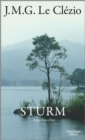 Sturm : Zwei Novellen - eBook