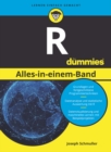 R Alles-in-einem-Band f r Dummies - eBook