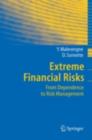 Extreme Financial Risks : From Dependence to Risk Management - eBook