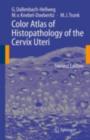 Color Atlas of Histopathology of the Cervix Uteri - eBook