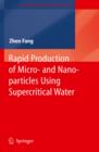 Rapid Production of Micro- and Nano-particles Using Supercritical Water - eBook