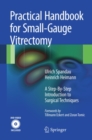 Practical Handbook for Small-Gauge Vitrectomy : A Step-By-Step Introduction to Surgical Techniques - eBook