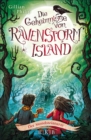 Die Geheimnisse von Ravenstorm Island - Der Mondsteinturm - eBook
