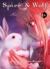Spice & Wolf, Band 14 - eBook