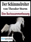 Der Schimmelreiter von Theodor Storm - eBook