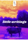 little writings : on God, Consciousness's, on the Nature of time on the Soul and its Absolute Nature on Friendship, Service and Traveling the World - eBook