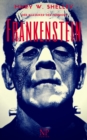 Frankenstein : Oder: Der moderne Prometheus - eBook