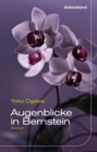 Augenblicke in Bernstein : Roman - eBook