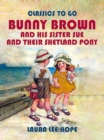 Bunny Brown And His Sister Sue And Their Shetland Pony - eBook