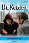 Der blinde Passagier : Dr. Norden Extra 206 - Arztroman - eBook
