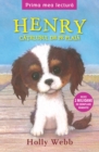 Henry, Catelusul De Pe Plaja - eBook