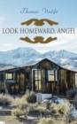 Look Homeward, Angel : Autobiographical Novel - eBook