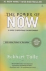 The Power of Now - Book