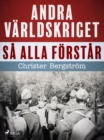 Andra varldskriget sa alla forstar - eBook