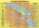 Vitamins & Minerals -- A4 - Book