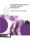 Corporate Governance of State-Owned Enterprises A Survey of OECD Countries - eBook
