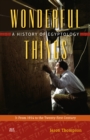Wonderful Things : A History of Egyptology: 3:  From 1914 to the Twenty-first Century - Book