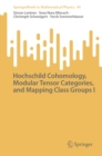 Hochschild Cohomology, Modular Tensor Categories, and Mapping Class Groups I - eBook