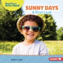 Sunny Days : A First Look - eBook