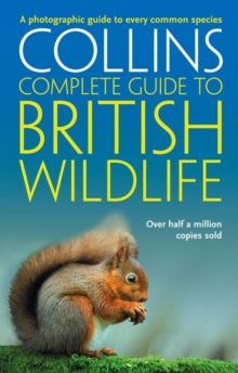 British Wildlife : A Photographic Guide to Every Common Species