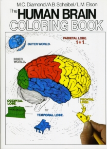 The Human Brain Coloring Book : A Coloring Book