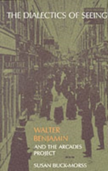 The Dialectics of Seeing : Walter Benjamin and the Arcades Project