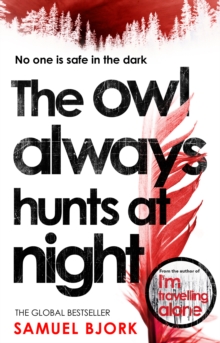 The Owl Always Hunts at Night : (Munch and Kruger Book 2)